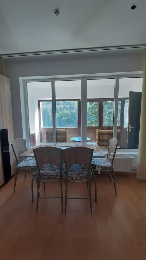 Monik Apartament Sinaia Exteriör bild
