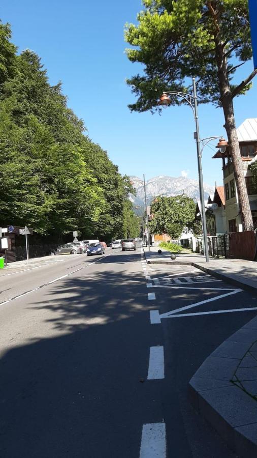 Monik Apartament Sinaia Exteriör bild