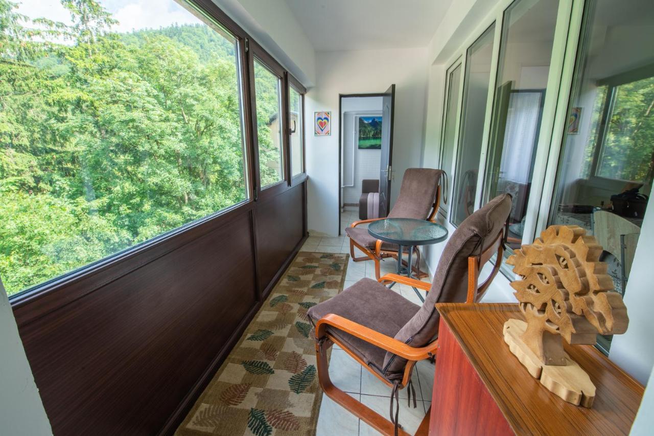 Monik Apartament Sinaia Exteriör bild