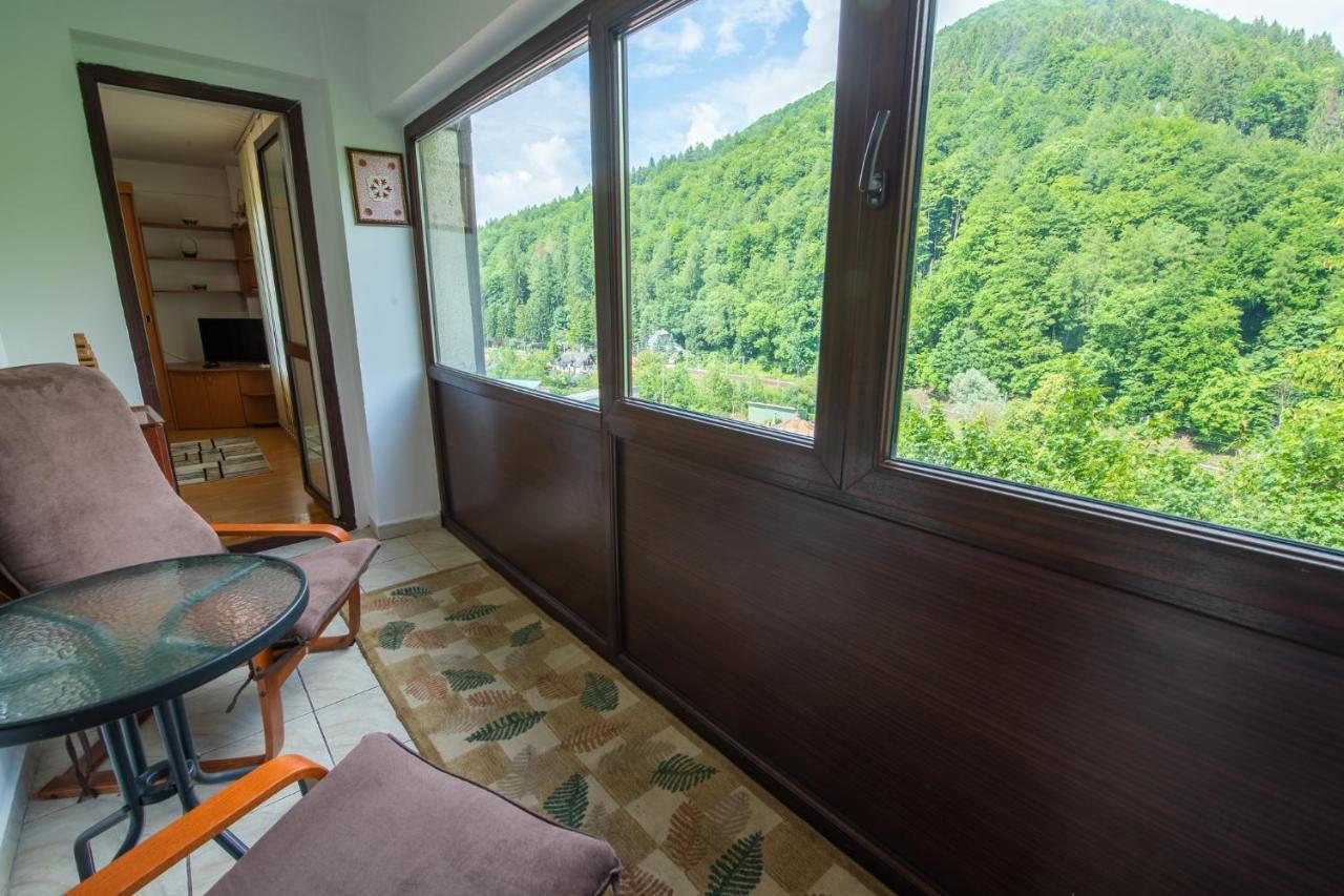 Monik Apartament Sinaia Exteriör bild