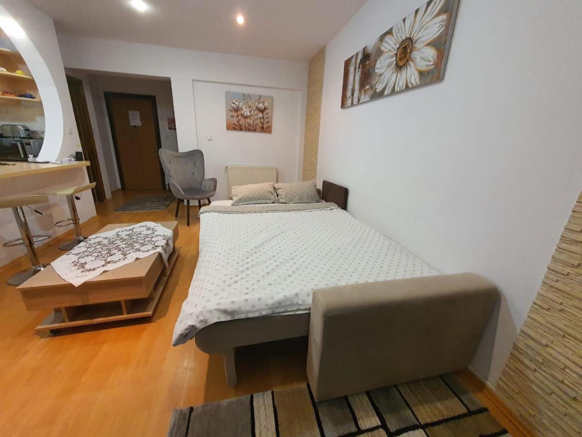 Monik Apartament Sinaia Exteriör bild